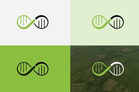Beeldmerk variaties Krachtvisie