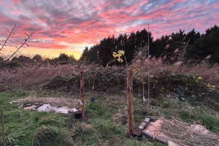 De moestuin bij zonsondergang 