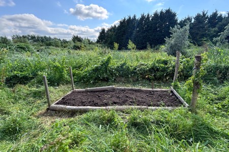 De moestuin overdag 