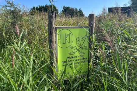 Plukn moestuin