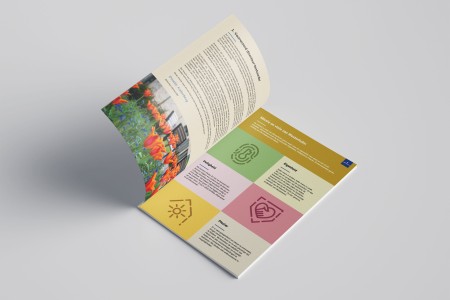 Jaarverslag ontwerp en tekstuele check